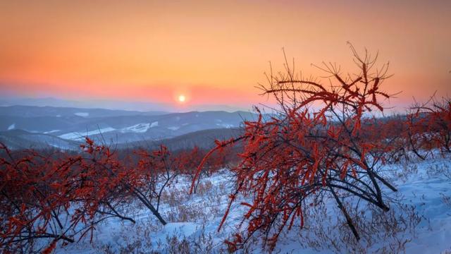 東北戀歌牡丹江取景(東北戀歌牡丹江取景地)-天晟網