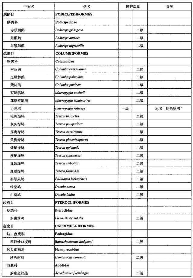 野生动物有哪些