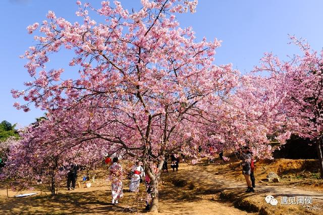 龙台山生态园