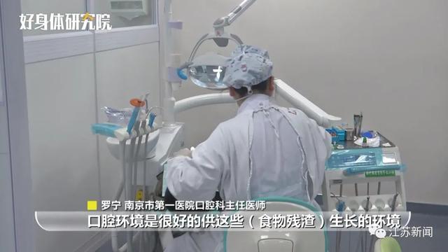 发芽的草莓长什么样 发芽的草莓长什么样（草莓出土幼苗图片） 生活