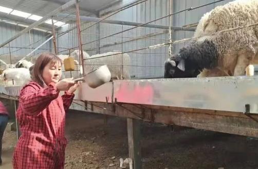 展宏建筑工程