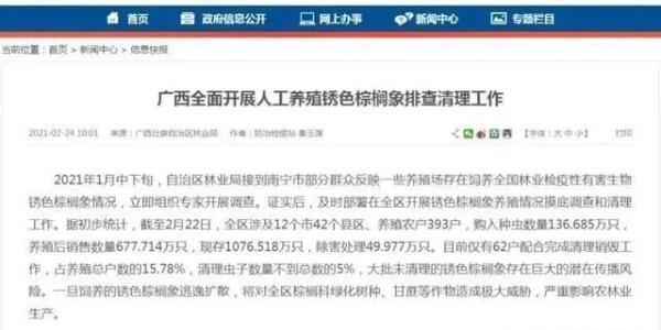 关于江西破碎机租赁价格的信息