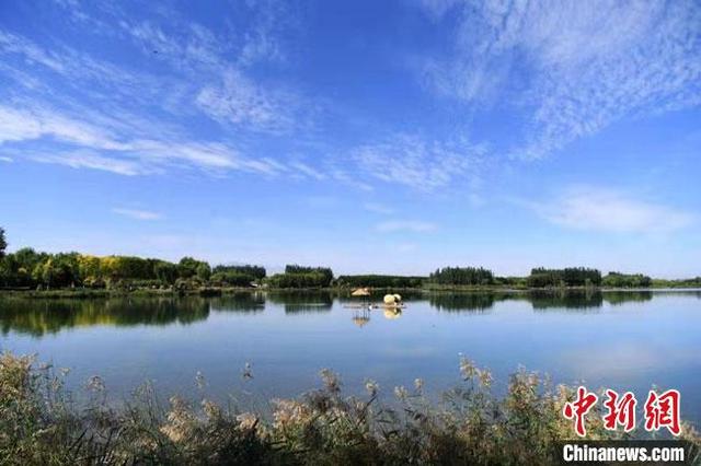 黑河水洗轮斗式洗砂机