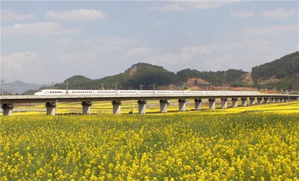 通往花海的列车「开向春天的列车」