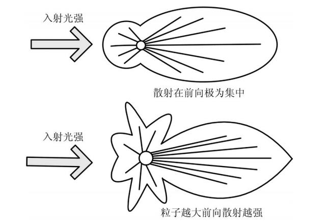 nm代表是什么意思