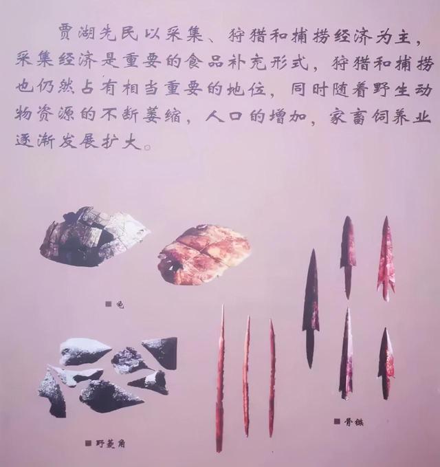 贾湖遗址