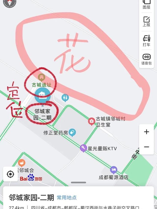 雏菊花海图片