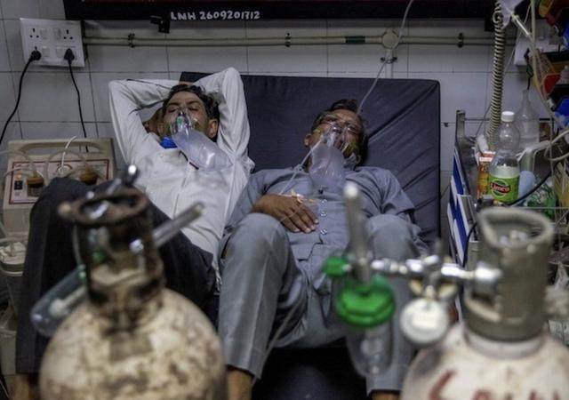 印度新冠肺炎死亡图片
