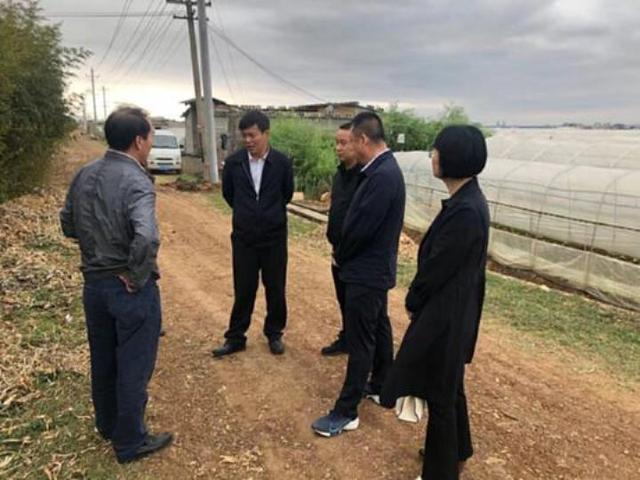 陆良中源泽大道二期工程迈展情况