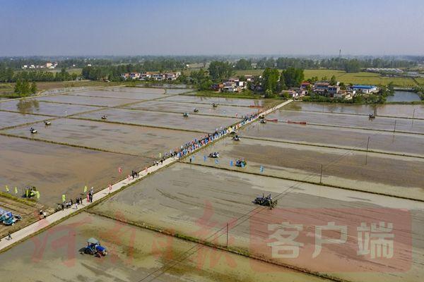 信阳地区农业机械展