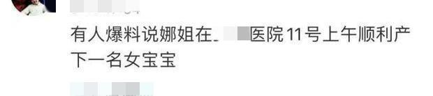 谢娜二胎生了吗