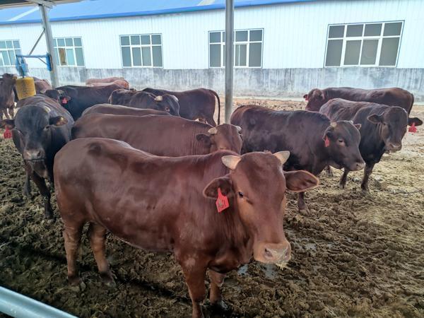 广州宏展工程咨询