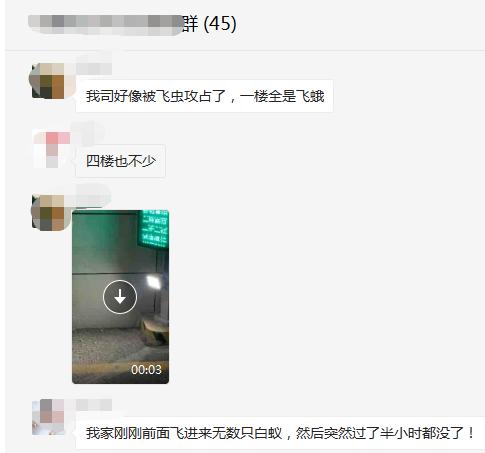 温州2019年三月份机械展时间
