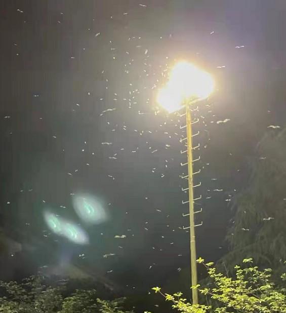 温州2019年三月份机械展时间