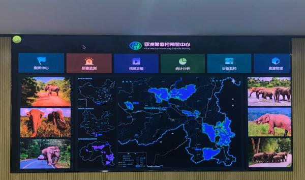 普洱挖斗洗砂机租赁找哪家