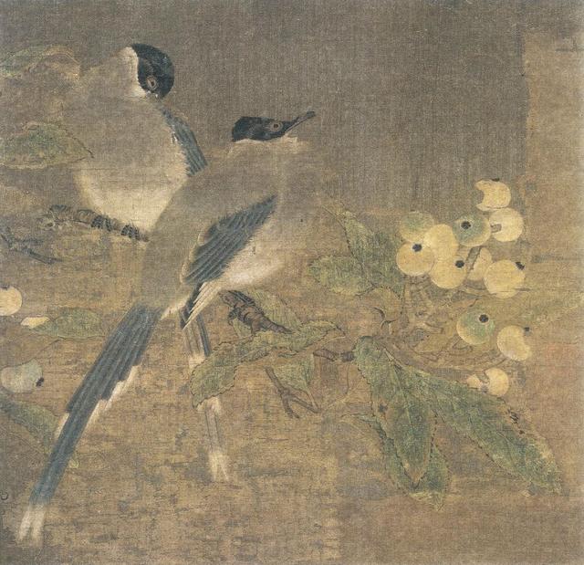 枇杷季节 枇杷季节