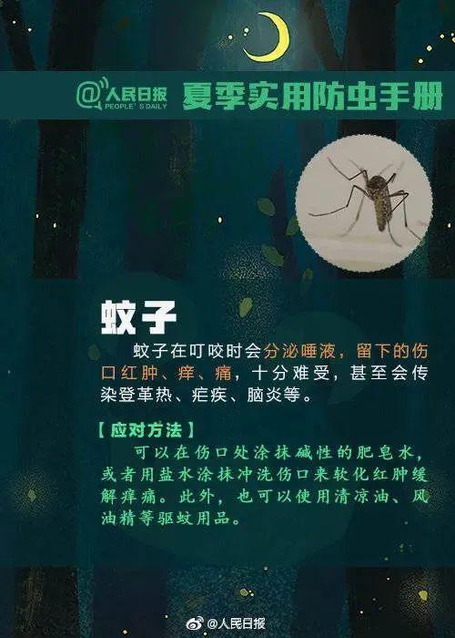 狗豆子