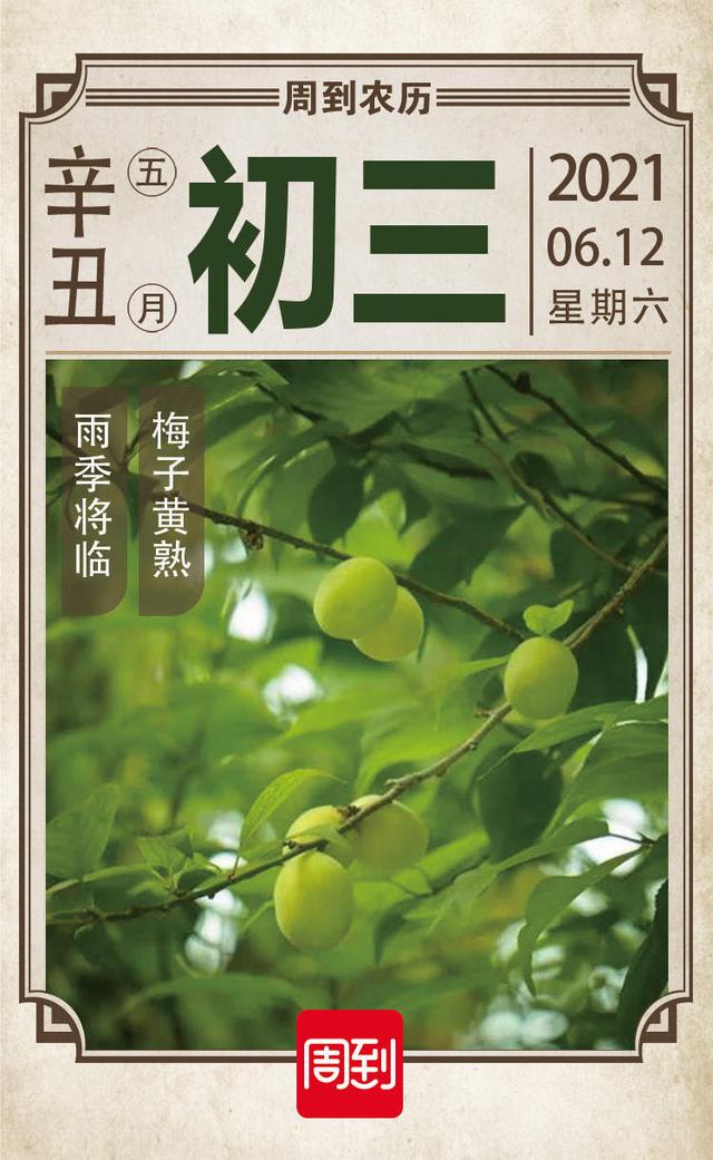 农历中国 | 五月初三 · 望梅止渴