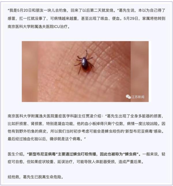 狗豆子