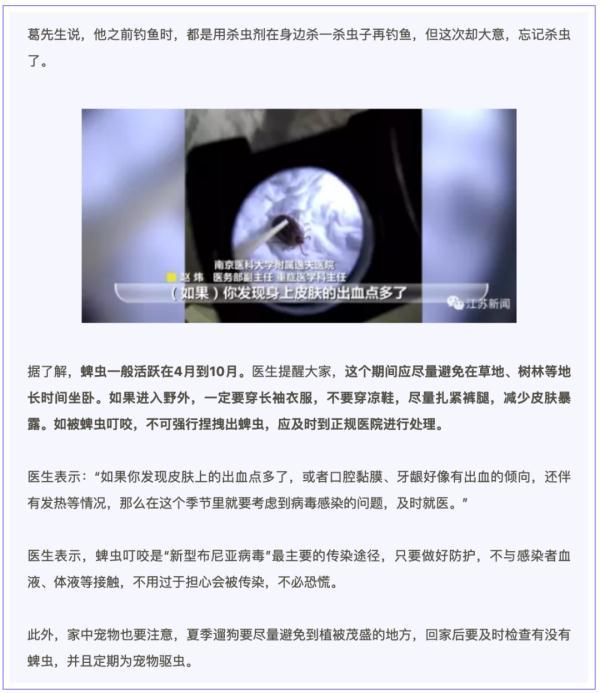 狗豆子