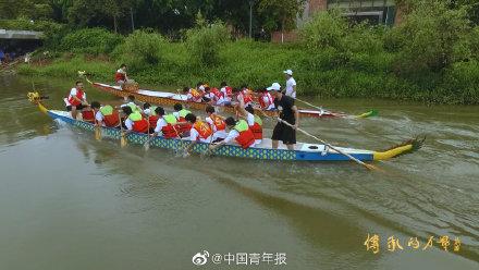粽叶麻绳破碎机