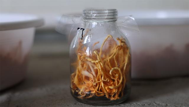 阜阳油炸食品过滤机价格