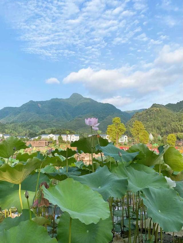 武夷山轮式洗砂机
