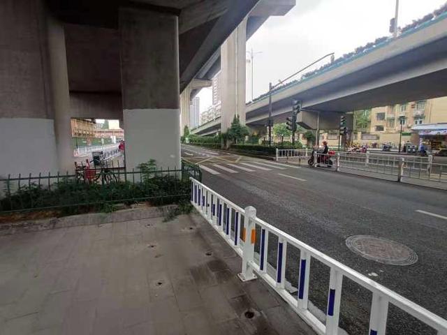 网格线