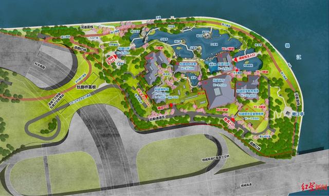 异乡泪日本移民巴西红星独家将展出全球数量最多的张