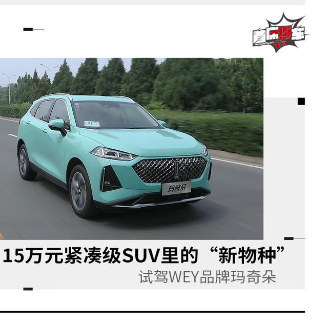 玛奇朵是什么