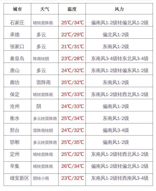 衡水正规皮带真空过滤机厂家