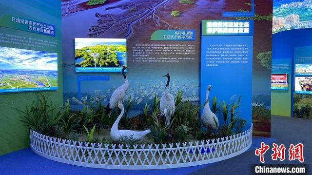 小康工程展省博物馆