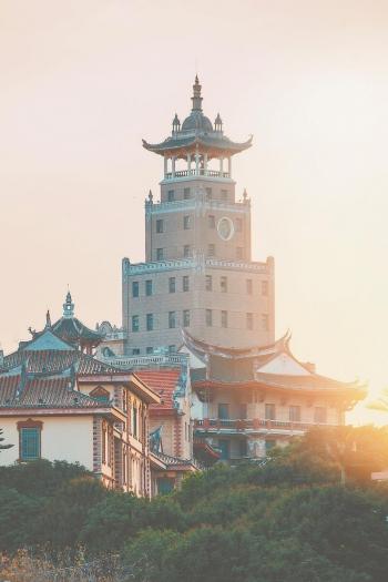 宁化印刷机械展哪家好