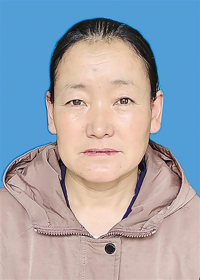 吕梁模板破碎机带钉