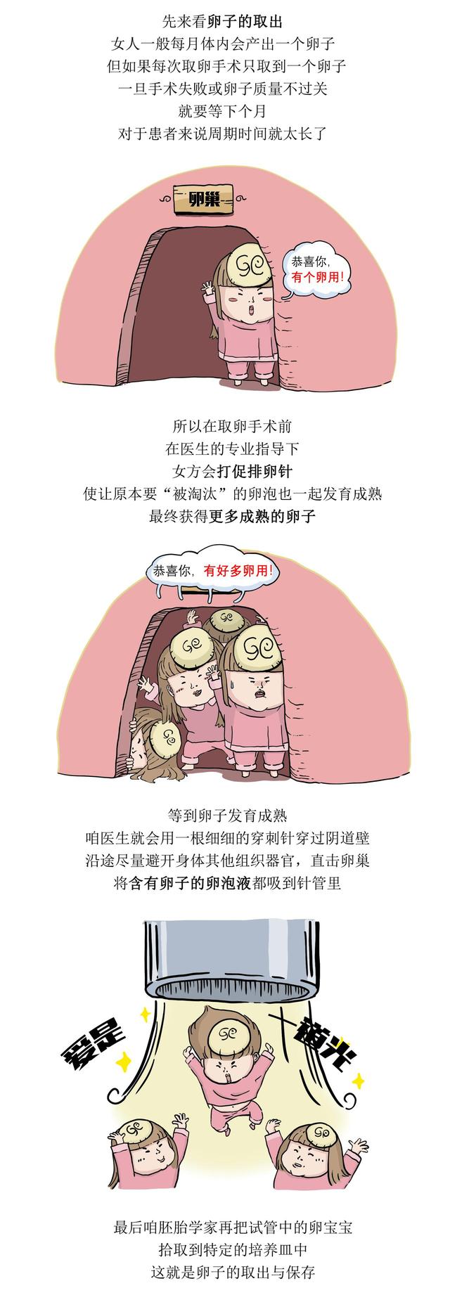 试管婴儿从哪里来？医院推出科普漫画“生殖科的故事”