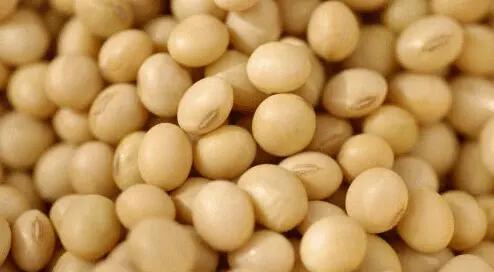 出汗后要补4种维生素 不妨多吃豆类香蕉苹果