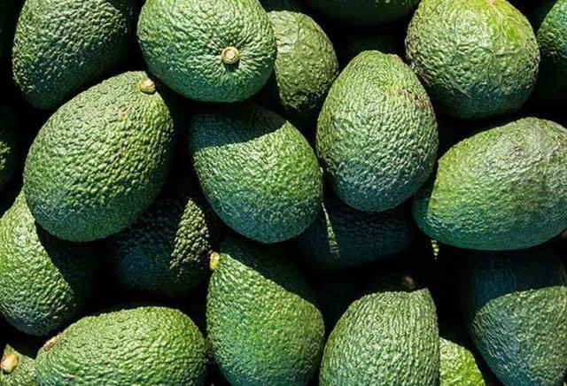 名气很大的健康养生食物牛油果 其真实效果如何