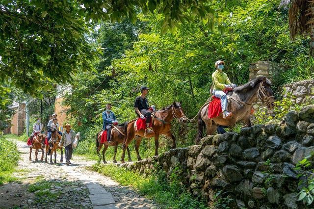大理鳳陽邑：茶馬古道上的世外桃源