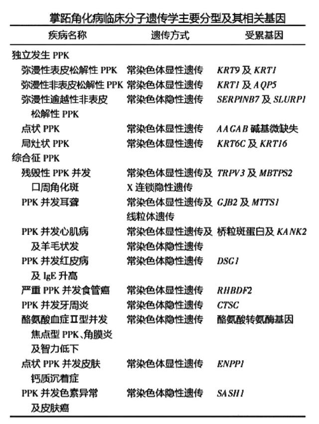 对称掌跖角化病