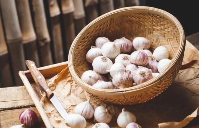 四种食物发芽后营养或会倍增，有你爱吃的吗？