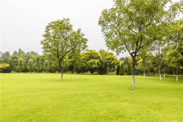 山東好景｜濟南植物園享受初秋的寧靜