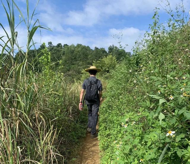36 高温下 翻山越岭5小时丨 天平杯 随手拍 大赛作品展播 太阳信息网