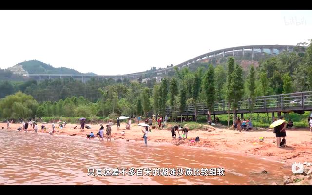 临沂正规木材破碎机商家