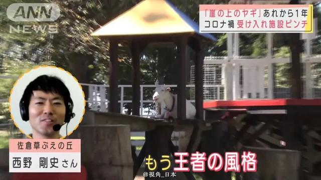 日本暴力团工藤会老大被判死刑当庭威胁法官 你会后悔一辈子 全网搜