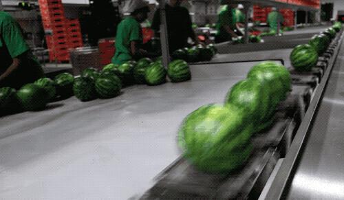 当快递有了较强的“自我管理能力”，if……else……老程序员的DNA动了