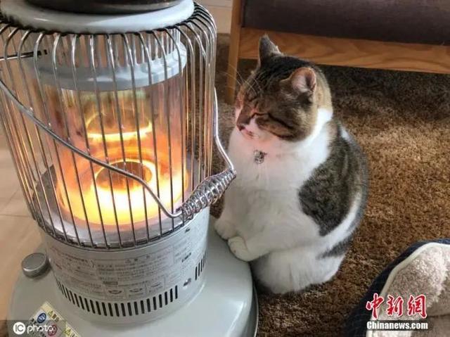 烫伤抹酱油，这个偏方还要害几代人？