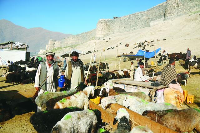 古代阿富汗为何成为帝国交锋之地？哪些书可以更好了解阿富汗