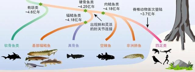 曲靖螺旋洗砂机采购