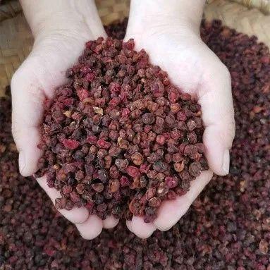 中草药：五味子