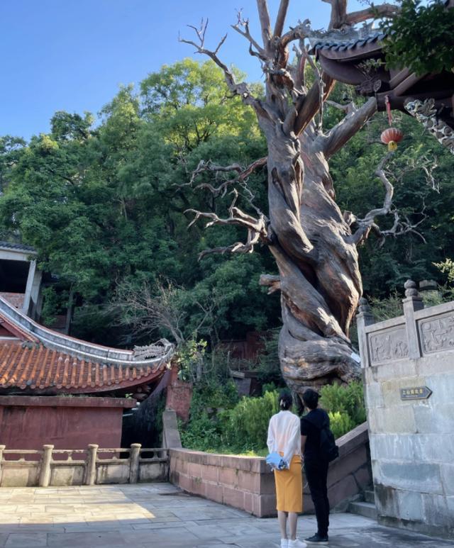 苗苗与郑恺出游，产后身材纤细皮肤白到发光，夫妻俩牵手搭肩好甜蜜